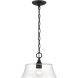 Caily 1 Light 11.5 inch Matte Black Indoor Pendant Ceiling Light